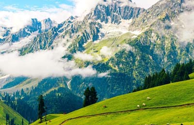 holiday packages to gulmarg kashmir