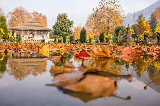 Seasonal planning with Kashmir Tour Operator